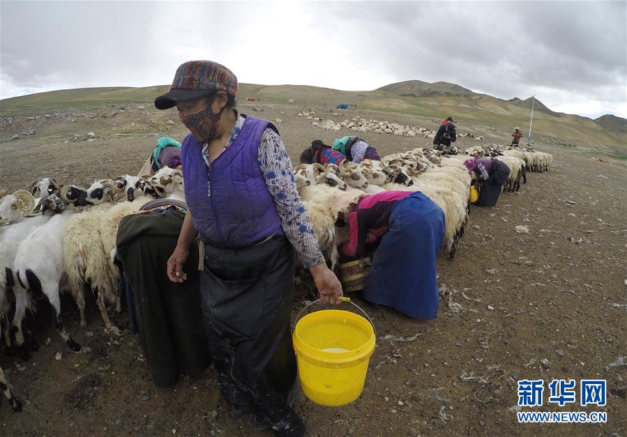 （新華全媒頭條&middot;走向我們的小康生活&middot;決戰(zhàn)決勝脫貧攻堅(jiān)&middot;圖文互動(dòng)）（2）兩次遷徙&ldquo;搬窮&rdquo;記&mdash;&mdash;海拔最高縣雙湖的&ldquo;戰(zhàn)貧故事&rdquo;