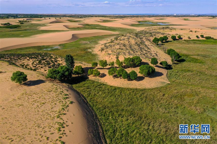 （在習近平新時代中國特色社會主義思想指引下&mdash;&mdash;新時代新作為新篇章&middot;習近平總書記關(guān)切事&middot;圖文互動）（10）綠意，在黃沙中鋪展&mdash;&mdash;我國防沙治沙紀實