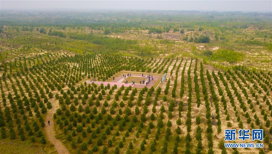 （在習近平新時代中國特色社會主義思想指引下&mdash;&mdash;新時代新作為新篇章&middot;習近平總書記關(guān)切事&middot;圖文互動）（2）綠意，在黃沙中鋪展&mdash;&mdash;我國防沙治沙紀實