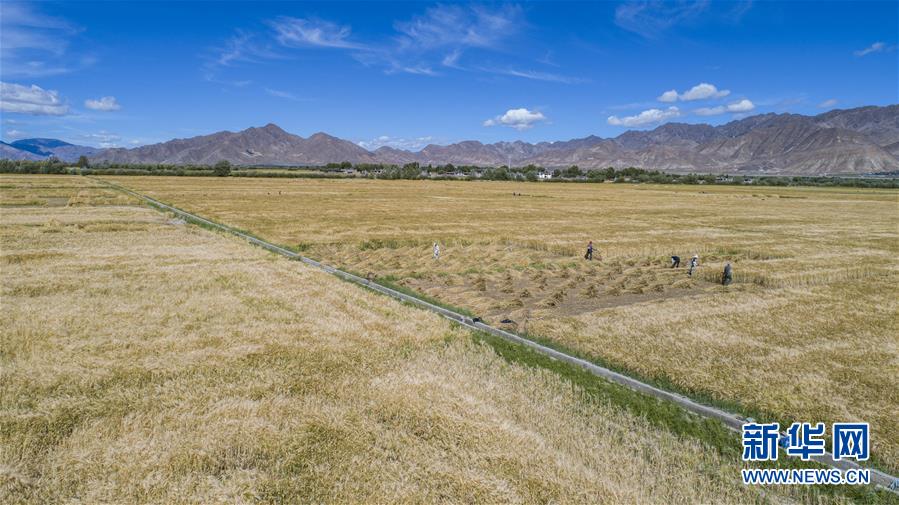 （新華全媒頭條&middot;走向我們的小康生活&middot;圖文互動）（11）扎西德勒，我們的新家園&mdash;&mdash;西藏易地扶貧搬遷搬出幸福美好新生活