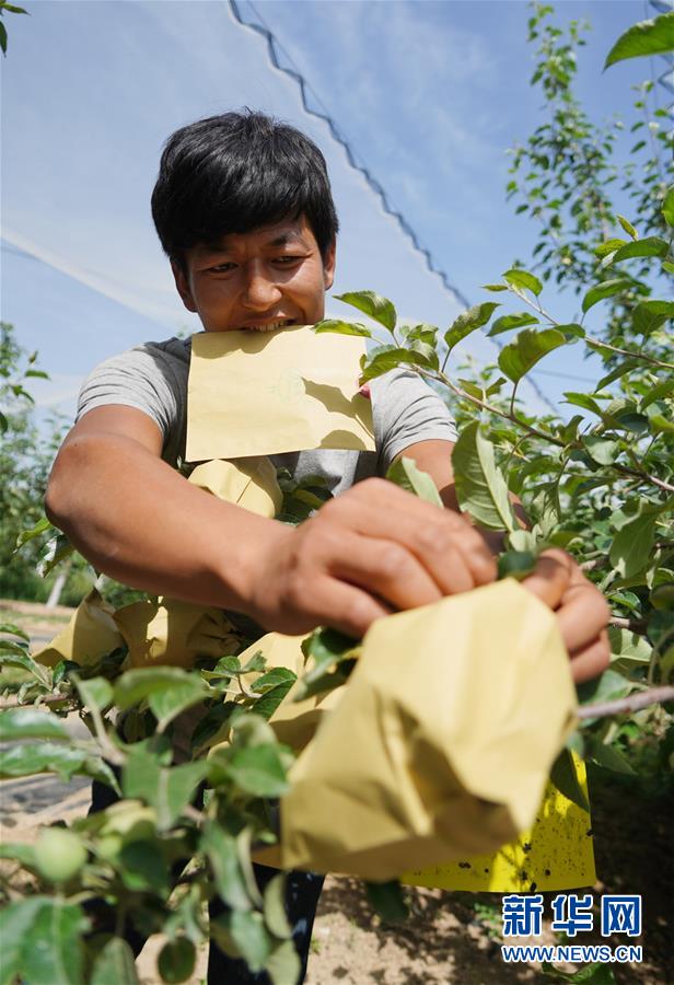 （習近平的小康故事&middot;圖文互動）（2）&ldquo;我很期盼的一件事，就是讓鄉(xiāng)親們飽餐一頓肉&rdquo;&mdash;&mdash;習近平和脫貧攻堅的故事