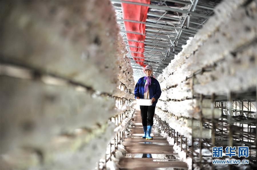 （習近平的小康故事&middot;圖文互動）（6）&ldquo;我很期盼的一件事，就是讓鄉(xiāng)親們飽餐一頓肉&rdquo;&mdash;&mdash;習近平和脫貧攻堅的故事