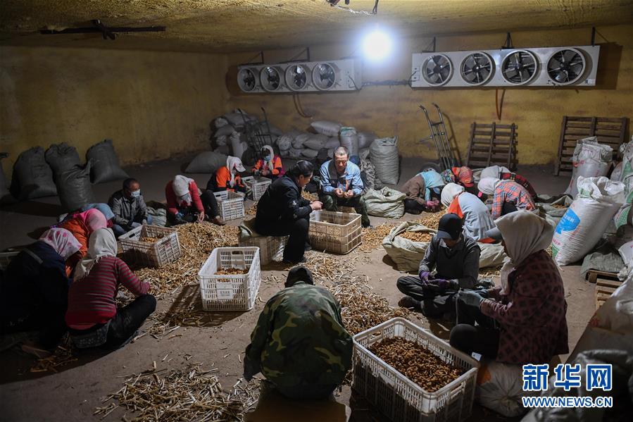 （習近平的小康故事&middot;圖文互動）（8）&ldquo;我很期盼的一件事，就是讓鄉(xiāng)親們飽餐一頓肉&rdquo;&mdash;&mdash;習近平和脫貧攻堅的故事