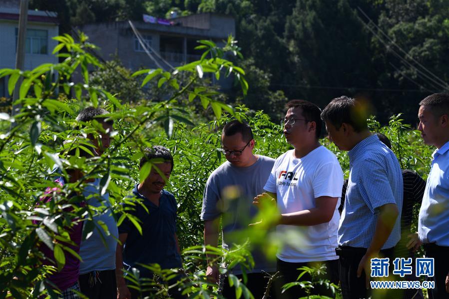 （決戰(zhàn)決勝脫貧攻堅(jiān)&middot;圖文互動(dòng)）（3）&ldquo;堵槍眼&rdquo;的脫貧戰(zhàn)怎么打？&mdash;&mdash;繼光村見(jiàn)聞