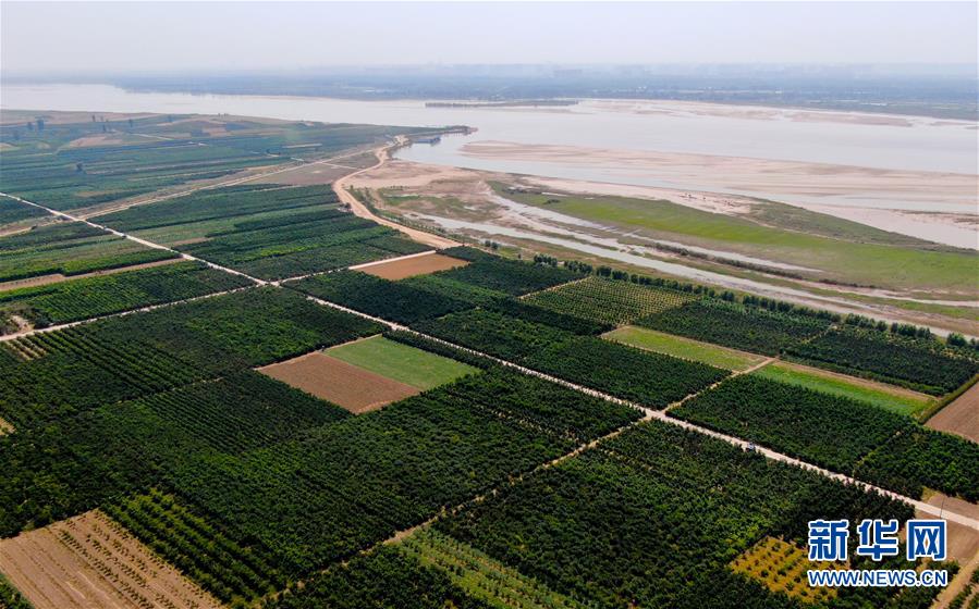 （新華全媒頭條&middot;圖文互動）（9）從&ldquo;四亂&rdquo;突出到生態(tài)修復(fù) 黃河漸成中原&ldquo;綠飄帶&rdquo;