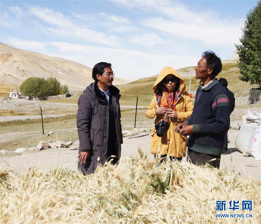 （新華全媒頭條&middot;圖文互動(dòng)）（6）愿做高原一粒種 化作金穗撒人間&mdash;&mdash;追記我國(guó)青稞研究專家尼瑪扎西