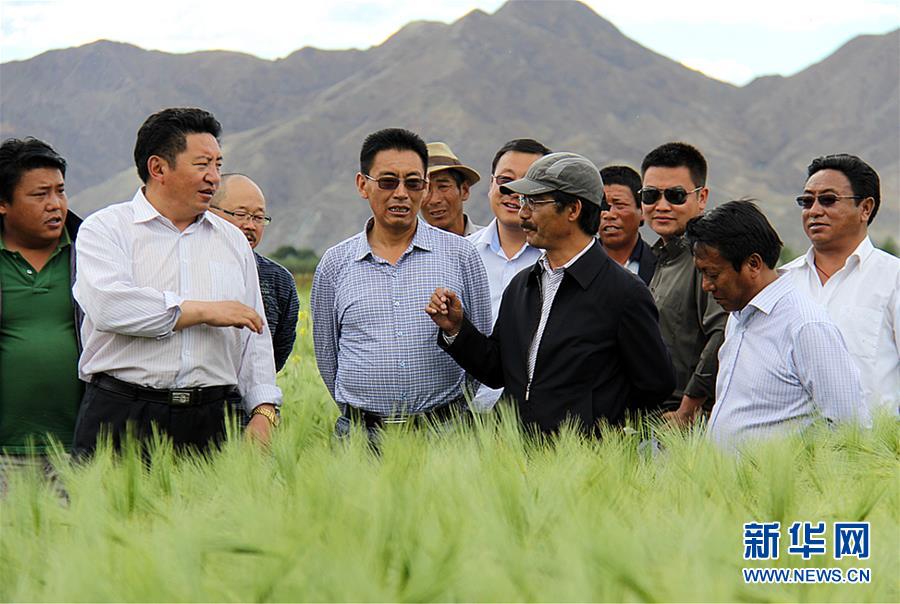 （新華全媒頭條&middot;圖文互動(dòng)）（2）愿做高原一粒種 化作金穗撒人間&mdash;&mdash;追記我國(guó)青稞研究專家尼瑪扎西