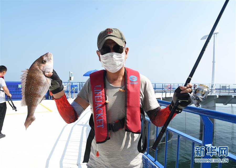 （新華全媒頭條&middot;圖文互動）（4）&ldquo;拔&rdquo;海起牧場 &ldquo;耕&rdquo;海新牧歌