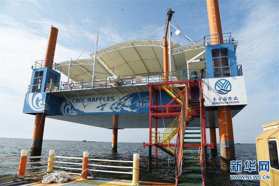 （新華全媒頭條&middot;圖文互動）（9）&ldquo;拔&rdquo;海起牧場 &ldquo;耕&rdquo;海新牧歌