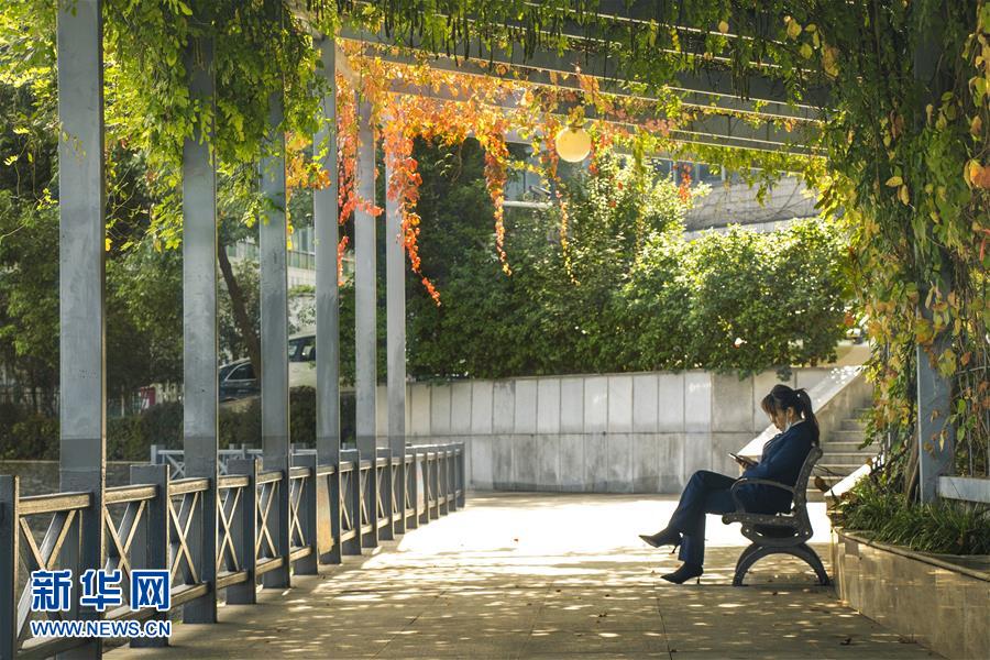 (全面建成小康社會(huì)“百城千縣萬(wàn)村調(diào)研行”·圖文互動(dòng))(2)武漢:從“見(jiàn)縫插樓”到“見(jiàn)縫播綠”