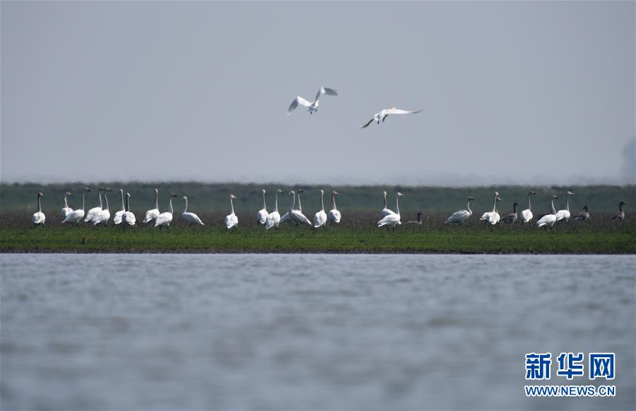（新華全媒頭條&middot;圖文互動）（11）潮起東方萬象新&mdash;&mdash;以習(xí)近平同志為核心的黨中央團(tuán)結(jié)帶領(lǐng)全黨全軍全國各族人民貫徹落實(shí)黨的十九大精神紀(jì)實(shí)