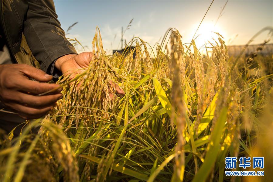 （新華全媒頭條&middot;圖文互動(dòng)）（5）上下同心再出發(fā)&mdash;&mdash;習(xí)近平總書記同出席2019年全國(guó)兩會(huì)人大代表、政協(xié)委員共商國(guó)是紀(jì)實(shí)