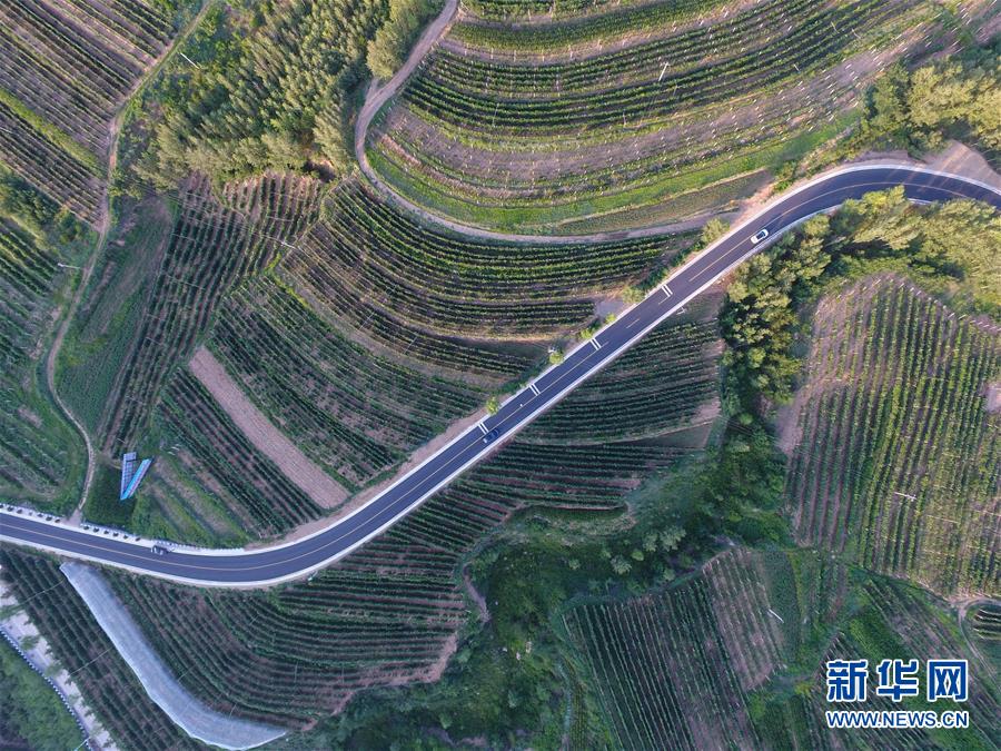 （新華全媒頭條&middot;圖文互動(dòng)）（5）心系北疆　情滿(mǎn)草原&mdash;&mdash;習(xí)近平總書(shū)記考察內(nèi)蒙古回訪記