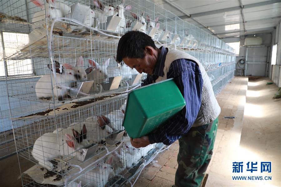 （在習(xí)近平新時代中國特色社會主義思想指引下&mdash;&mdash;新時代新作為新篇章&middot;習(xí)近平總書記關(guān)切事&middot;圖文互動）（1）啃下最后的硬骨頭&mdash;&mdash;脫貧攻堅掛牌督戰(zhàn)進行時