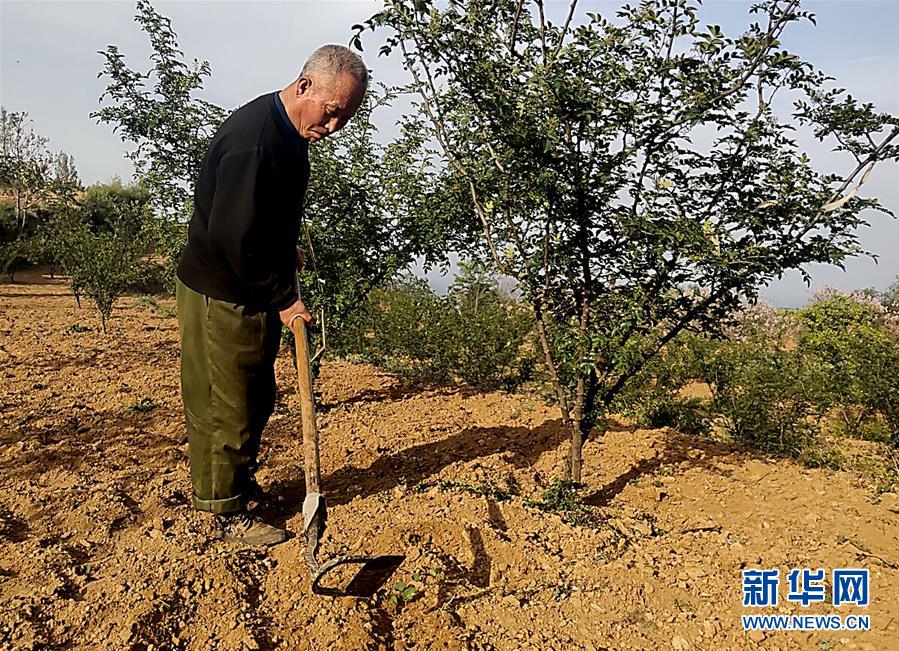 （新華全媒頭條&middot;圖文互動）（4）春天里的5個&ldquo;戰(zhàn)貧&rdquo;瞬間&mdash;&mdash;習(xí)近平總書記關(guān)于脫貧攻堅決策部署指引攻克最后的深貧堡壘