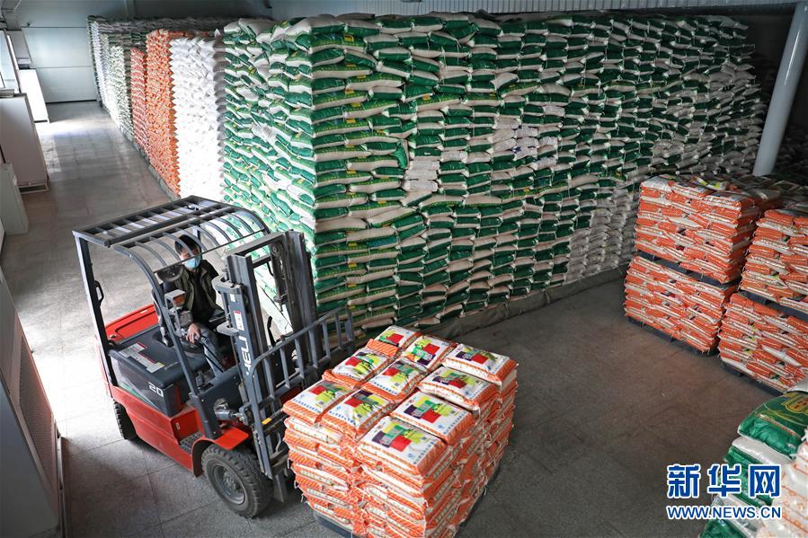 （在習近平新時代中國特色社會主義思想指引下&mdash;&mdash;新時代新作為新篇章&middot;習近平總書記關(guān)切事&middot;圖文互動）（9）春耕忙 信心足&mdash;&mdash;谷雨時節(jié)走馬東北直擊糧事