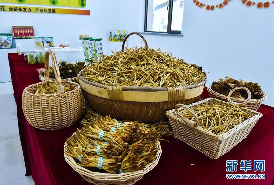 （新華全媒頭條&middot;圖文互動(dòng)）（3）初夏，循著總書記的腳步探訪產(chǎn)業(yè)扶貧新事