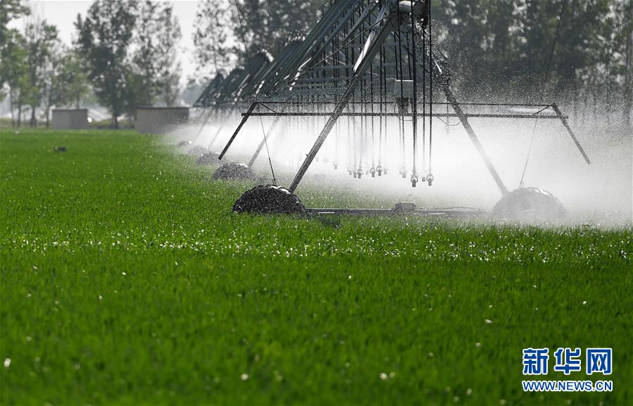 （在習(xí)近平新時(shí)代中國(guó)特色社會(huì)主義思想指引下&mdash;&mdash;新時(shí)代新作為新篇章&middot;習(xí)近平總書(shū)記關(guān)切事&middot;圖文互動(dòng)）（3）新農(nóng)事、新希望&mdash;&mdash;夏收前田間新動(dòng)態(tài)掃描