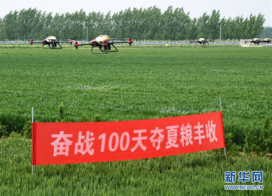 （在習(xí)近平新時(shí)代中國(guó)特色社會(huì)主義思想指引下&mdash;&mdash;新時(shí)代新作為新篇章&middot;習(xí)近平總書(shū)記關(guān)切事&middot;圖文互動(dòng)）（9）新農(nóng)事、新希望&mdash;&mdash;夏收前田間新動(dòng)態(tài)掃描