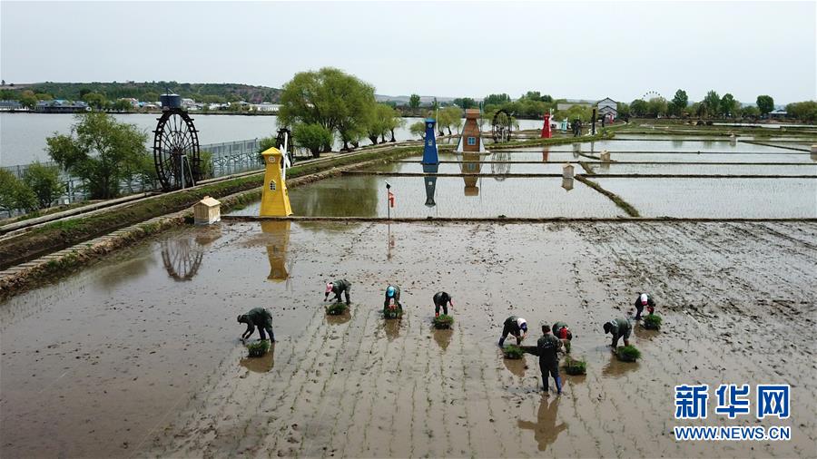 （在習(xí)近平新時(shí)代中國特色社會(huì)主義思想指引下&mdash;&mdash;新時(shí)代新作為新篇章&middot;習(xí)近平總書記關(guān)切事&middot;圖文互動(dòng)）（6）讓農(nóng)民挑上&ldquo;金扁擔(dān)&rdquo;&mdash;&mdash;農(nóng)業(yè)現(xiàn)代化的生動(dòng)實(shí)踐掃描