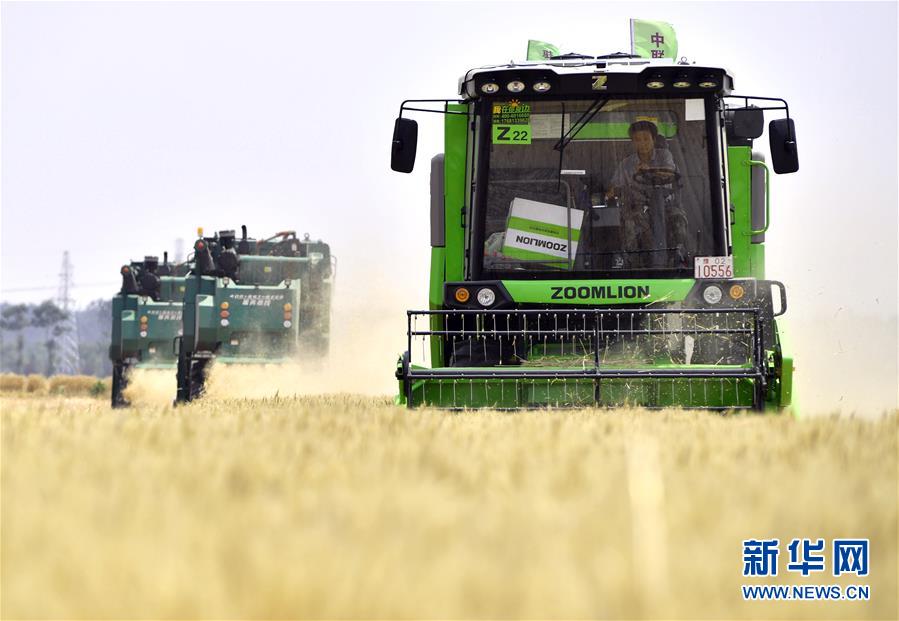 （在習(xí)近平新時(shí)代中國特色社會(huì)主義思想指引下&mdash;&mdash;新時(shí)代新作為新篇章&middot;習(xí)近平總書記關(guān)切事&middot;圖文互動(dòng)）（12）讓農(nóng)民挑上&ldquo;金扁擔(dān)&rdquo;&mdash;&mdash;農(nóng)業(yè)現(xiàn)代化的生動(dòng)實(shí)踐掃描