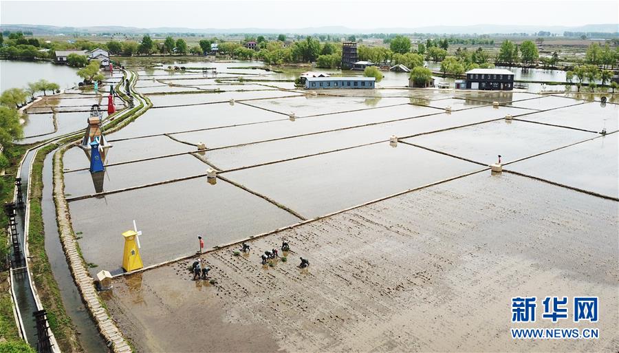 （在習近平新時代中國特色社會主義思想指引下&mdash;&mdash;新時代新作為新篇章&middot;習近平總書記關(guān)切事&middot;圖文互動）（1）讓每一寸耕地都成為豐收的沃土&mdash;&mdash;我國加強耕地保護推進&ldquo;藏糧于地&rdquo;