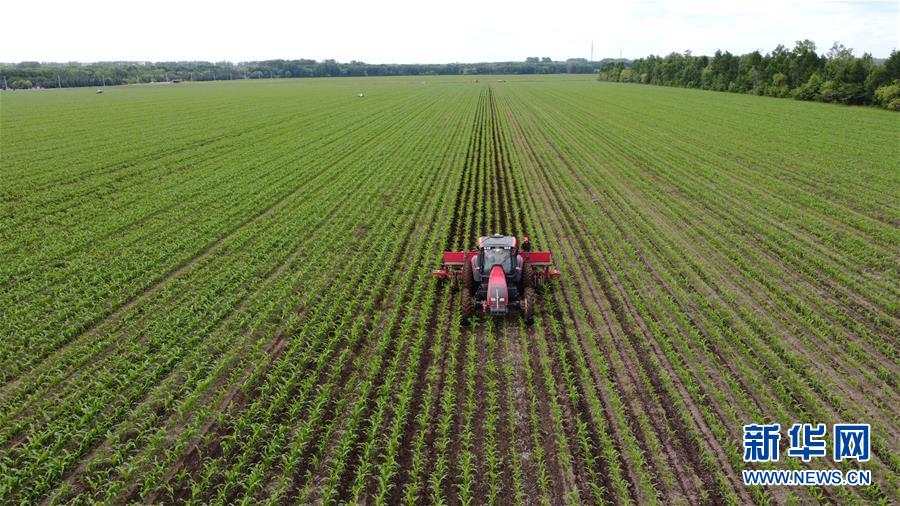 （在習近平新時代中國特色社會主義思想指引下&mdash;&mdash;新時代新作為新篇章&middot;習近平總書記關(guān)切事&middot;圖文互動）（5）讓每一寸耕地都成為豐收的沃土&mdash;&mdash;我國加強耕地保護推進&ldquo;藏糧于地&rdquo;