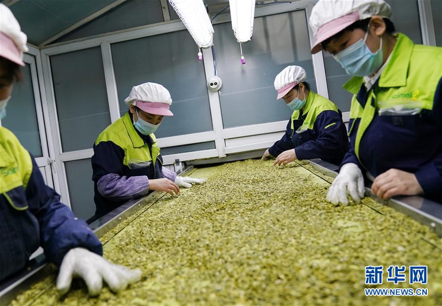 （在習近平新時代中國特色社會主義思想指引下&mdash;&mdash;新時代新作為新篇章&middot;習近平總書記關(guān)切事&middot;圖文互動）（5）激發(fā)每個經(jīng)濟&ldquo;細胞&rdquo;的活力&mdash;&mdash;千方百計把市場主體保護好