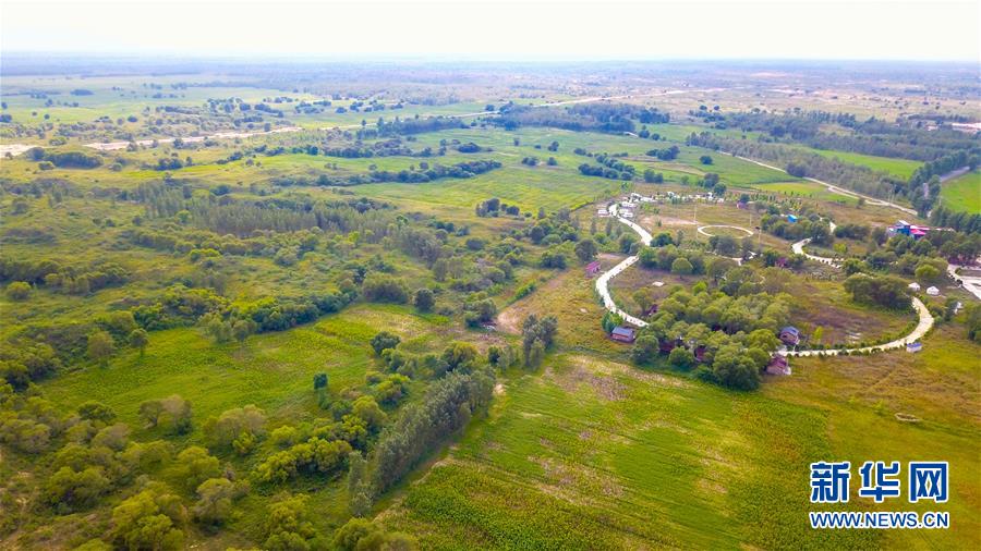 （在習(xí)近平新時(shí)代中國(guó)特色社會(huì)主義思想指引下&mdash;&mdash;新時(shí)代新作為新篇章&middot;習(xí)近平總書(shū)記關(guān)切事&middot;圖文互動(dòng)）（1）綠意，在黃沙中鋪展&mdash;&mdash;我國(guó)防沙治沙紀(jì)實(shí)