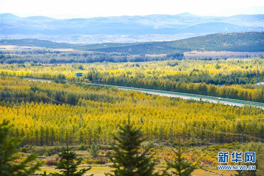 （在習(xí)近平新時(shí)代中國(guó)特色社會(huì)主義思想指引下&mdash;&mdash;新時(shí)代新作為新篇章&middot;習(xí)近平總書(shū)記關(guān)切事&middot;圖文互動(dòng)）（7）綠意，在黃沙中鋪展&mdash;&mdash;我國(guó)防沙治沙紀(jì)實(shí)