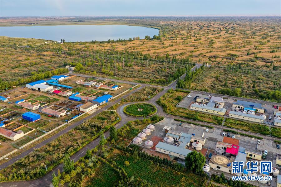 （在習(xí)近平新時(shí)代中國(guó)特色社會(huì)主義思想指引下&mdash;&mdash;新時(shí)代新作為新篇章&middot;習(xí)近平總書(shū)記關(guān)切事&middot;圖文互動(dòng)）（12）綠意，在黃沙中鋪展&mdash;&mdash;我國(guó)防沙治沙紀(jì)實(shí)