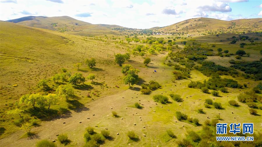 （在習(xí)近平新時(shí)代中國(guó)特色社會(huì)主義思想指引下&mdash;&mdash;新時(shí)代新作為新篇章&middot;習(xí)近平總書(shū)記關(guān)切事&middot;圖文互動(dòng)）（4）綠意，在黃沙中鋪展&mdash;&mdash;我國(guó)防沙治沙紀(jì)實(shí)