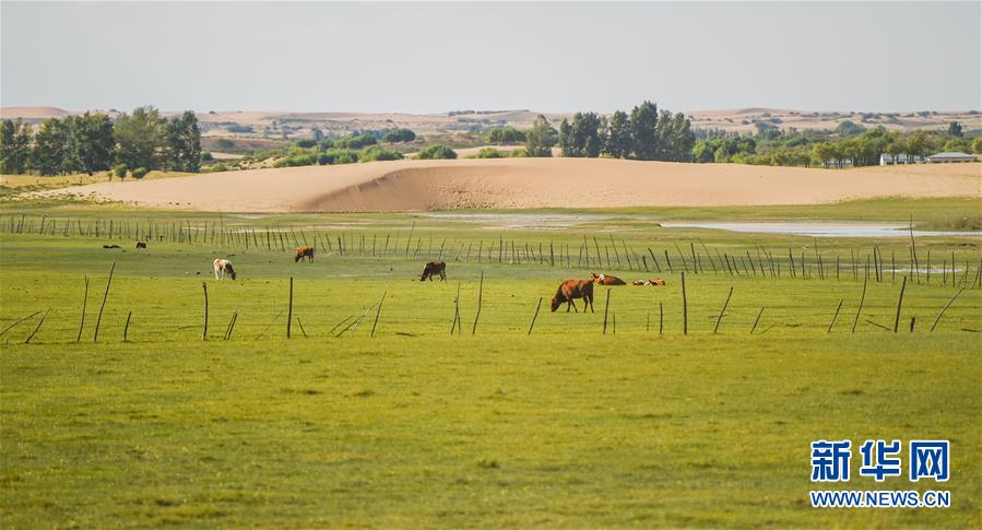 （在習(xí)近平新時(shí)代中國(guó)特色社會(huì)主義思想指引下&mdash;&mdash;新時(shí)代新作為新篇章&middot;習(xí)近平總書(shū)記關(guān)切事&middot;圖文互動(dòng)）（9）綠意，在黃沙中鋪展&mdash;&mdash;我國(guó)防沙治沙紀(jì)實(shí)