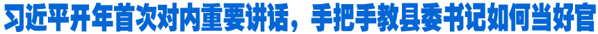 習(xí)近平開(kāi)年首次對(duì)內(nèi)重要講話(huà)，手把手教縣委書(shū)記如何當(dāng)好官