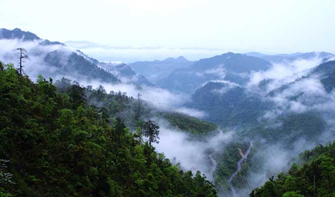 廣東乳源、廣東乳陽林場、云南華寧葫蘆口電站