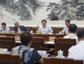 張德江參加分組審議