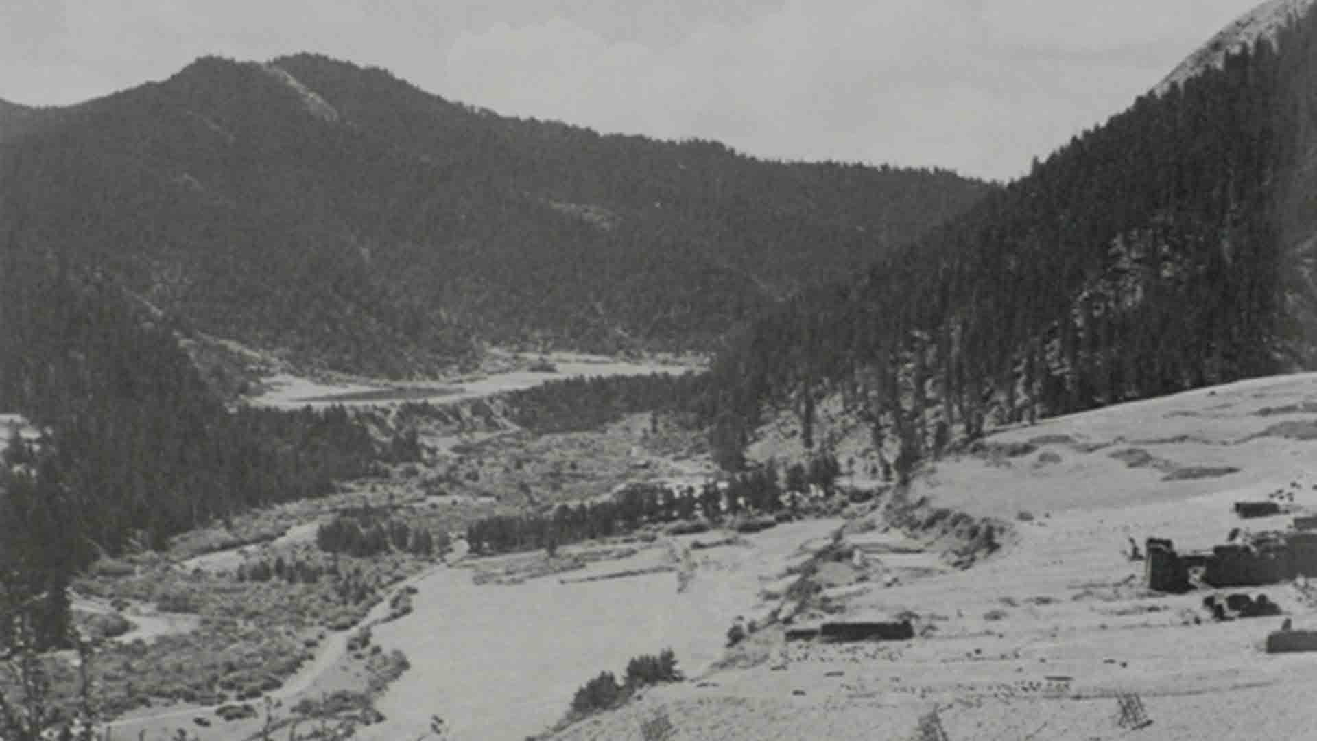 南下還是北上，決定革命前途的關鍵之爭