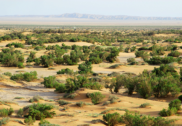 【長(zhǎng)篇通訊】塞罕壩，京城綠色屏障的前世今生
