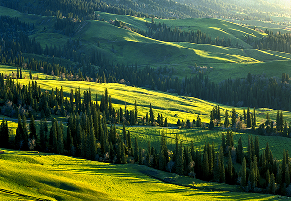 【長(zhǎng)篇通訊】塞罕壩，京城綠色屏障的前世今生