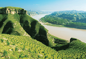 張建龍：&ldquo;三北工程&rdquo;實(shí)現(xiàn)生態(tài)、經(jīng)濟(jì)、社會(huì)效益&ldquo;多贏&rdquo;