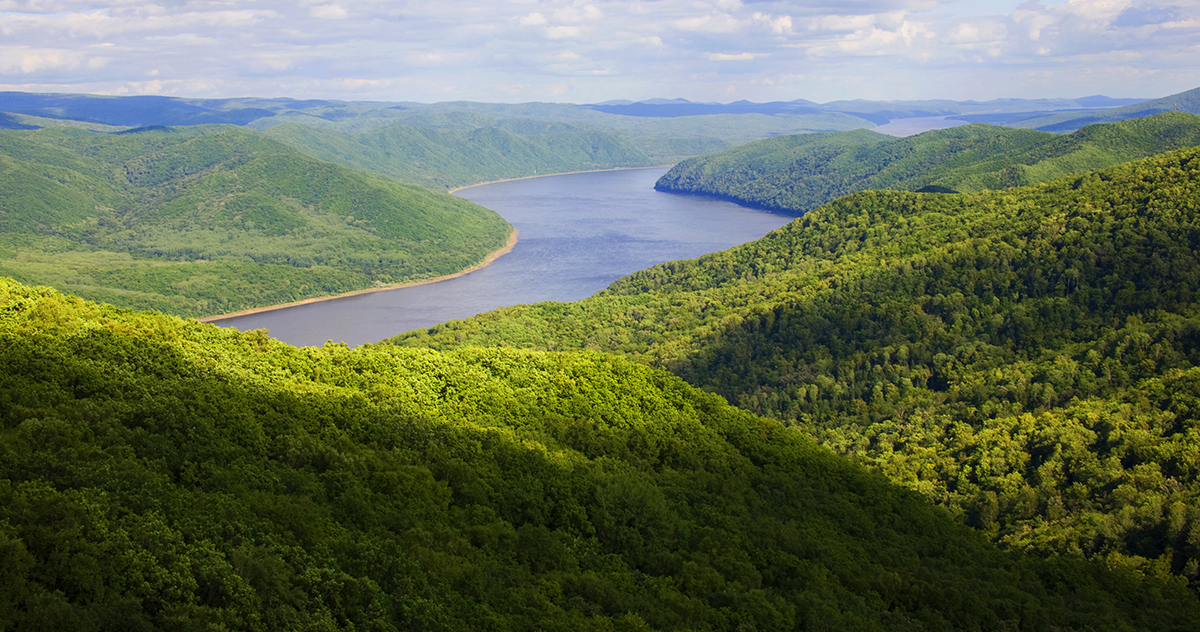 張建龍：&ldquo;三北工程&rdquo;實(shí)現(xiàn)生態(tài)、經(jīng)濟(jì)、社會(huì)效益&ldquo;多贏&rdquo;