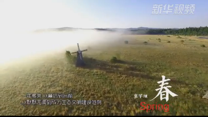 塞罕壩：那一抹綠色，走進越來越多人心里