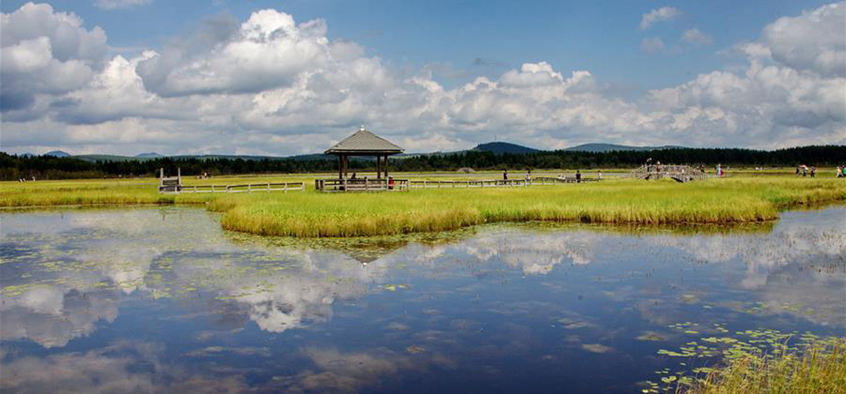 那一抹綠色，走進(jìn)越來越多人心里&mdash;&mdash;河北塞罕壩續(xù)寫新時(shí)代綠色傳奇