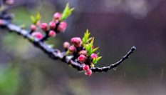 隨心而行，走走停停始終精彩。
