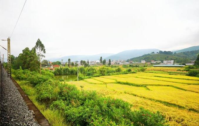 坐著高鐵看中國｜走成昆，感受闖過禁區(qū)的光影記錄