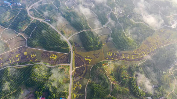 百城千縣萬(wàn)村調(diào)研行｜在三峽橘鄉(xiāng)，遇見(jiàn)最美的田園時(shí)光！