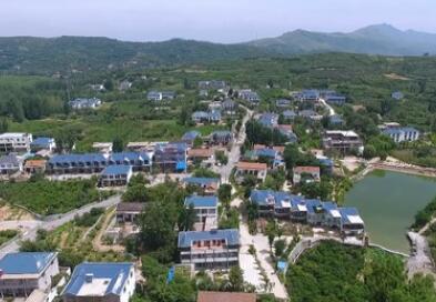 山東蒙陰：&ldquo;樹上&rdquo;的風景