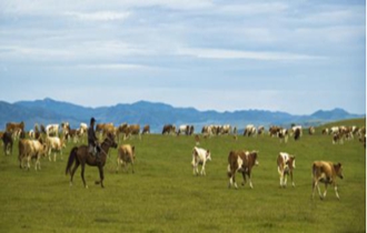 華能北方公司：奔小康，咱肯定能