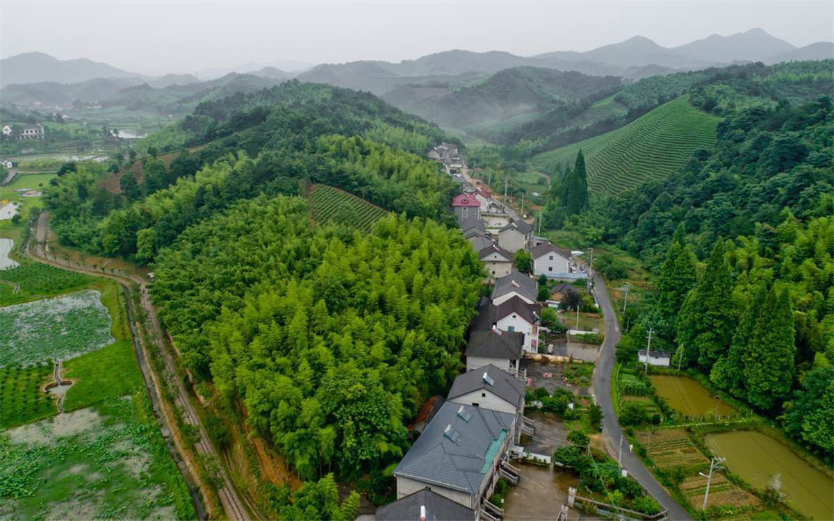 從2003年起，浙江省開展了&ldquo;千村示范、萬村整治&rdquo;工程