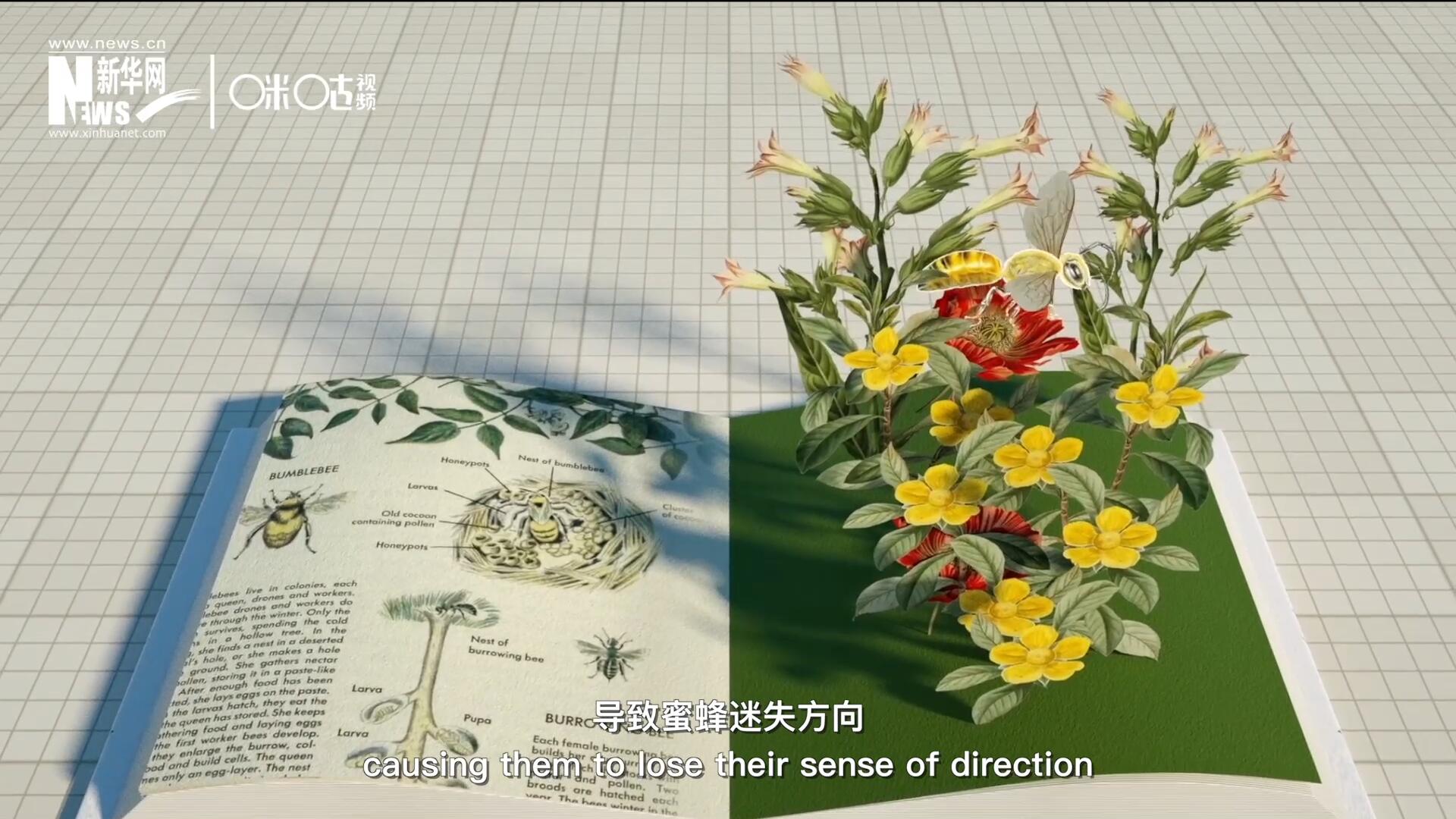 殺蟲劑會破壞蜜蜂的神經(jīng)系統(tǒng)，導(dǎo)致蜜蜂迷失方向，無法回到蜂房，還會降低蜜蜂的抵抗力